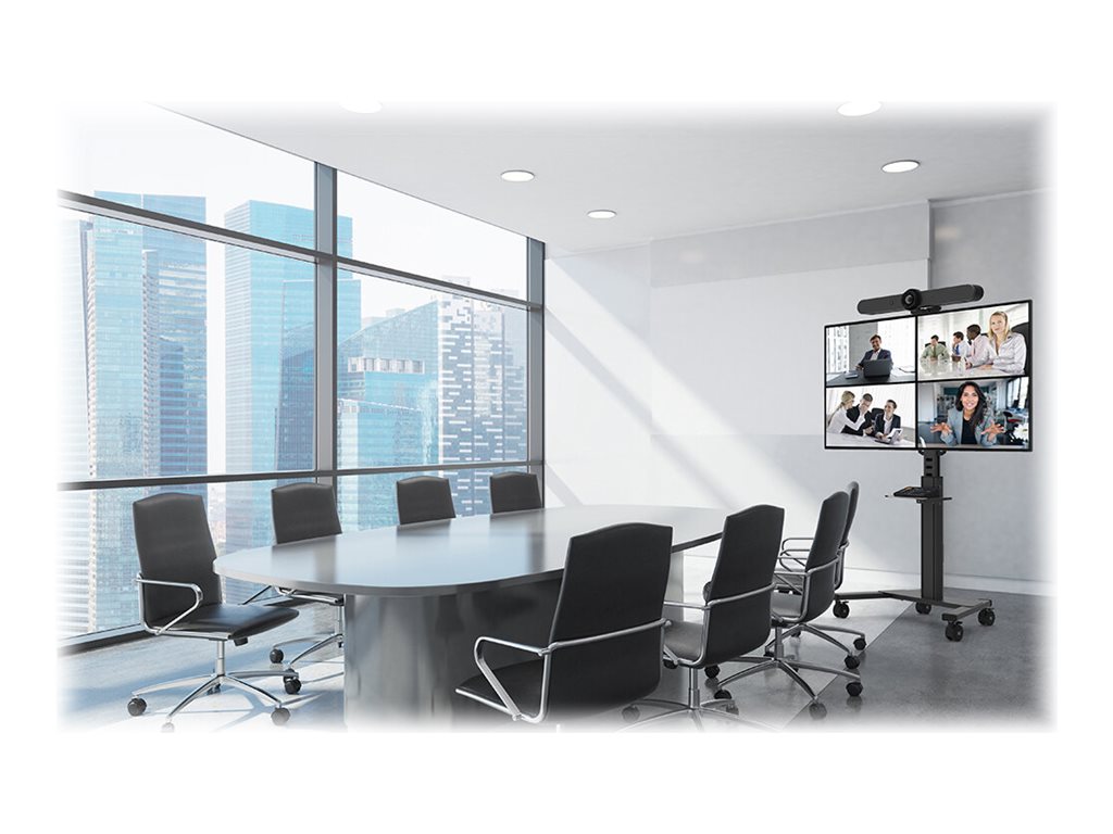 NEOMOUNTS FL50S-825BL1 Support au sol mobile pour écran 37-75p - TÜV