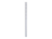 NEOMOUNTS FPMA-CP100 Tube dextension pour support décran au plafond - h 100 cm