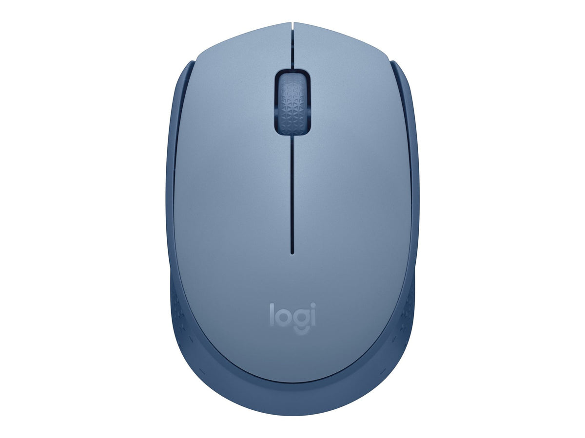 LOGITECH M171 Mouse right and left-handed optical 3 buttons wireless 2.4 GHz USB wireless receiver blue/grey