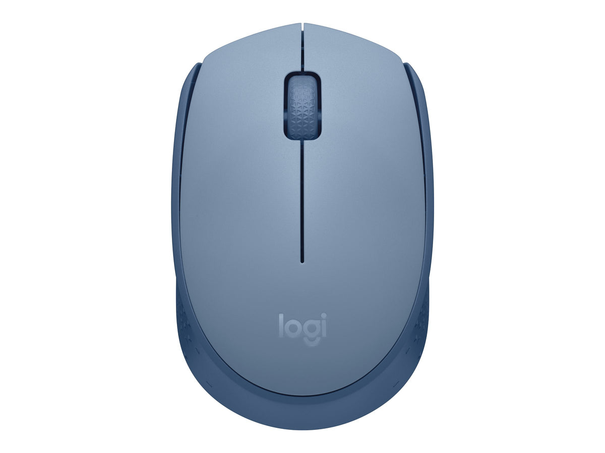 LOGITECH M171 Mouse right and left-handed optical 3 buttons wireless 2.4 GHz USB wireless receiver blue/grey