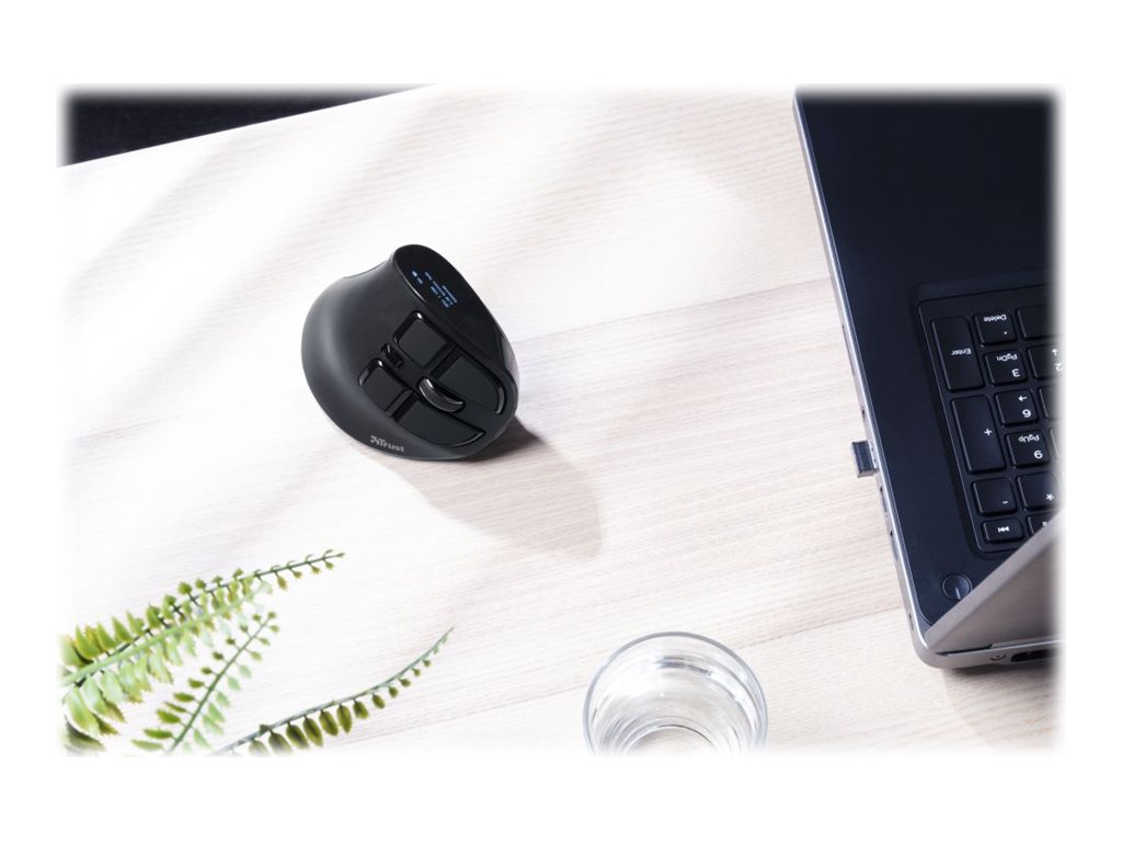 TRUST Souris sans fil ergonomique VOXX Rechargeable - Noire