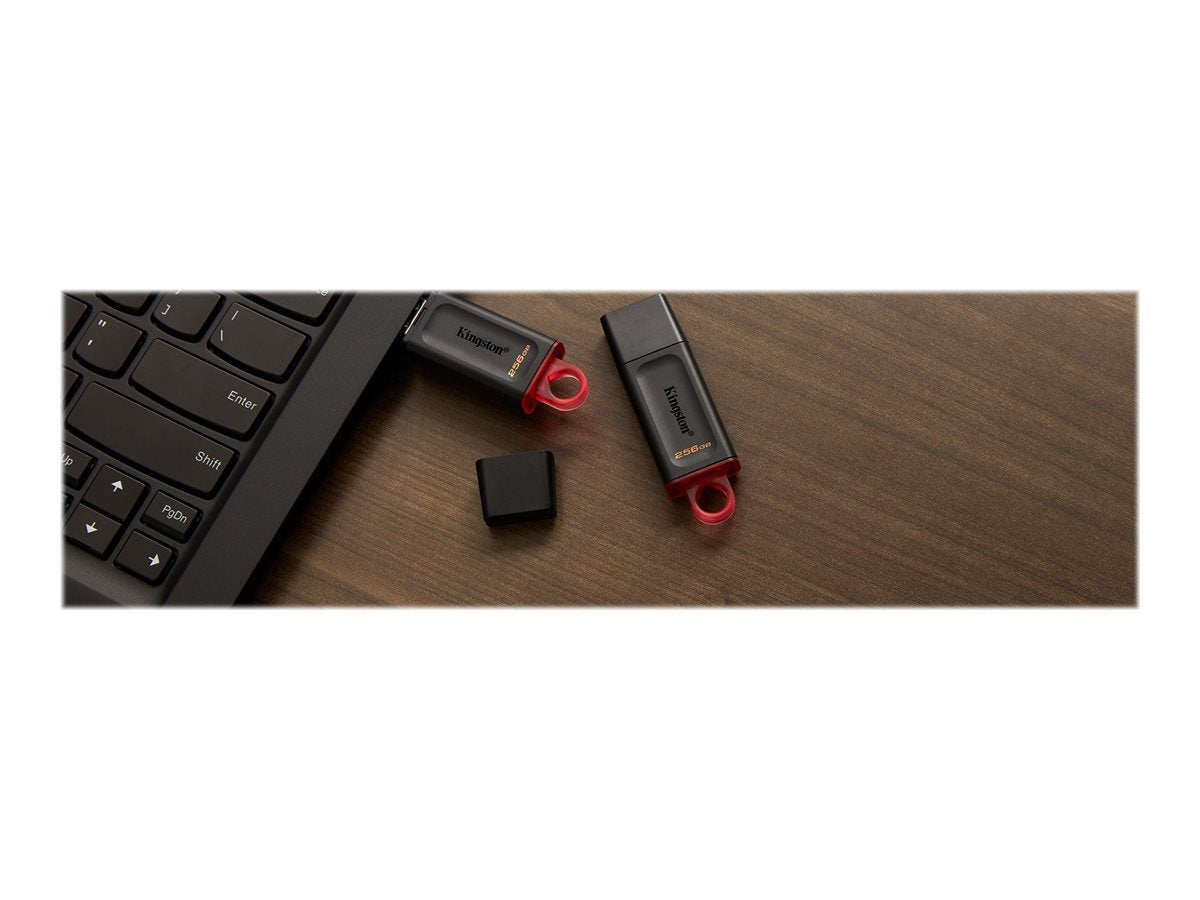 KINGSTON 256Go USB3.2 Gen1 DataTraveler Exodia Black + Pink