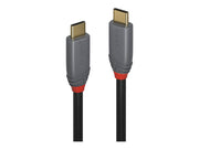 LINDY Câble USB 3.1 type C C 5A Anthra Line 1m