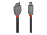 LINDY 0.5m USB 3.2 Type C to Micro-B Cable Anthra Line