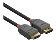 LINDY Câble DisplayPort 1.4 Anthra Line 1m
