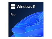 MS ESD Windows Professional 11 64-bit All Languages Online Product Key License 1 License Downloadable ESD NR