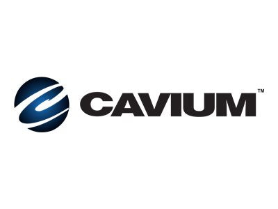 FUJITSU Cavium FastLinQ QL41132HLCU 10GbE SFP+ Dual Port Ethernet LAN adapter PCIe 3.0 x8