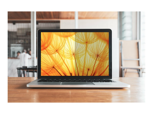 3M Bright Screen privacy filter Microsoft Surface Pro 8 9 Pro X 13p 3:2