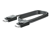 HP 300cm DP+Y CABLE L701xt