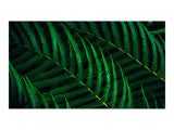 PHILIPS 27B2G5200/00 Ecran 27p FHD LED 16:9 IPS 75Hz D-SUB HDMI 1.4 DP 1.2