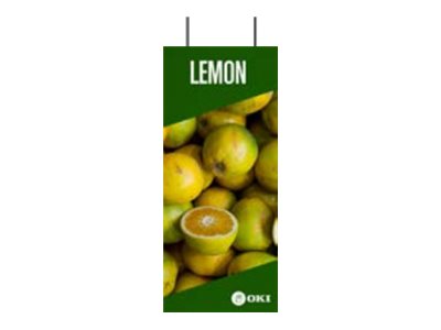 OKI FASTDISP A3 ceiling METAL 30x90CM