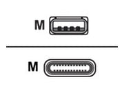 CISCO USB C USB A CABLE 4 METERS LONG
