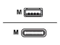 CISCO USB C USB A CABLE 4 METERS LONG