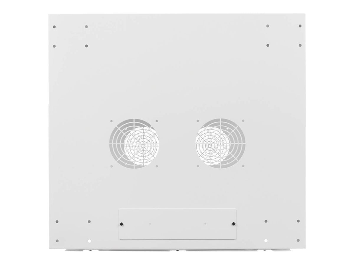EATON TRIPPLITE Wallmount Rack Enclosure Cabinet 9U Switch Depth Deep White Rack enclosure cabinet wall mountable white 9U