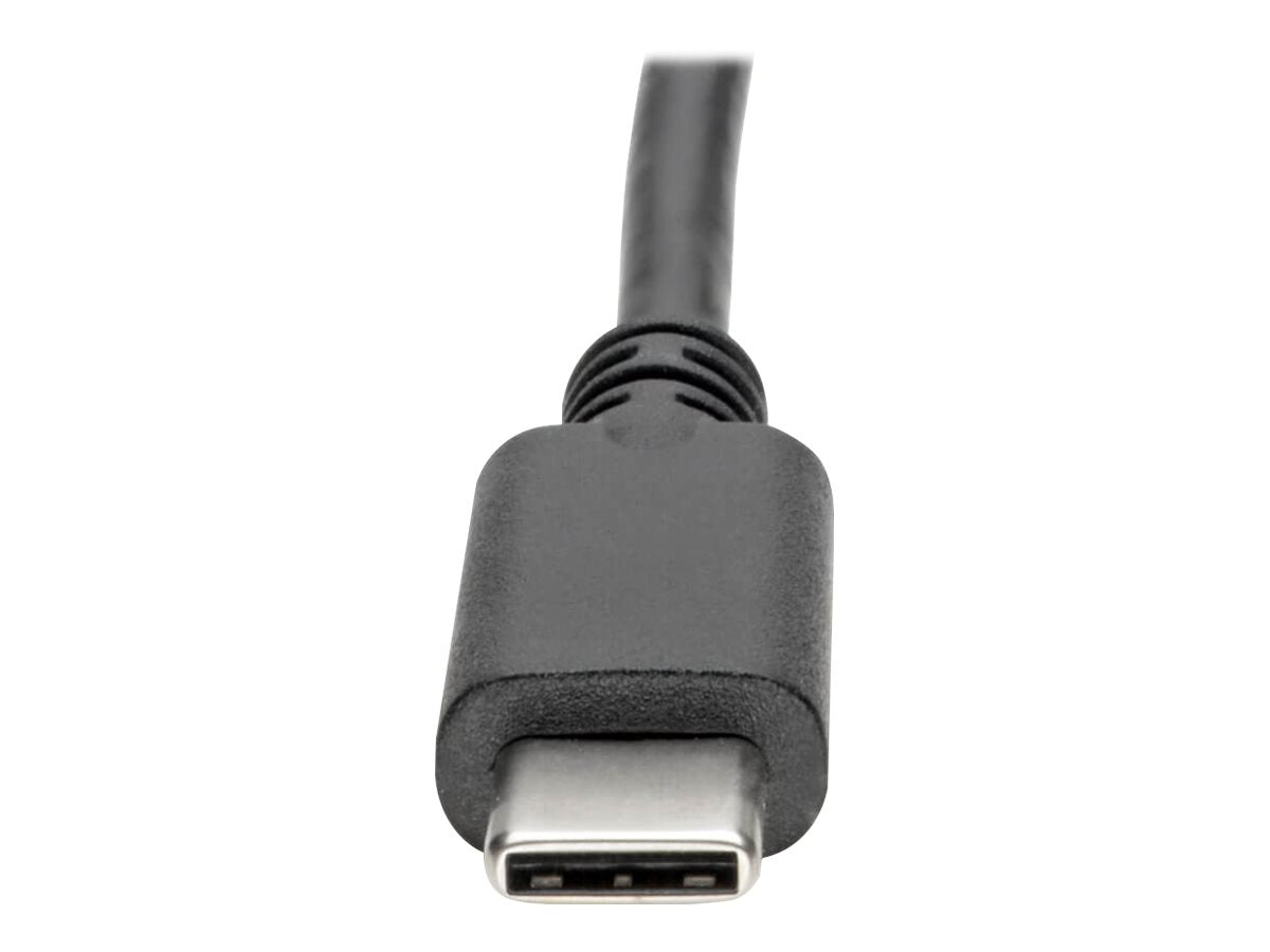 EATON TRIPPLITE USB C to HDMI Video Adapter Converter 4Kx2K M/F USB-C to HDMI USB Type-C to HDMI USB Type C to HDMI 6in External