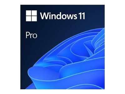 MS 1x Windows 11 Pro 64-Bit DVD OEM English International (EN)