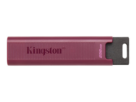 KINGSTON 256Go USB3.2 TypeA DataTraveler