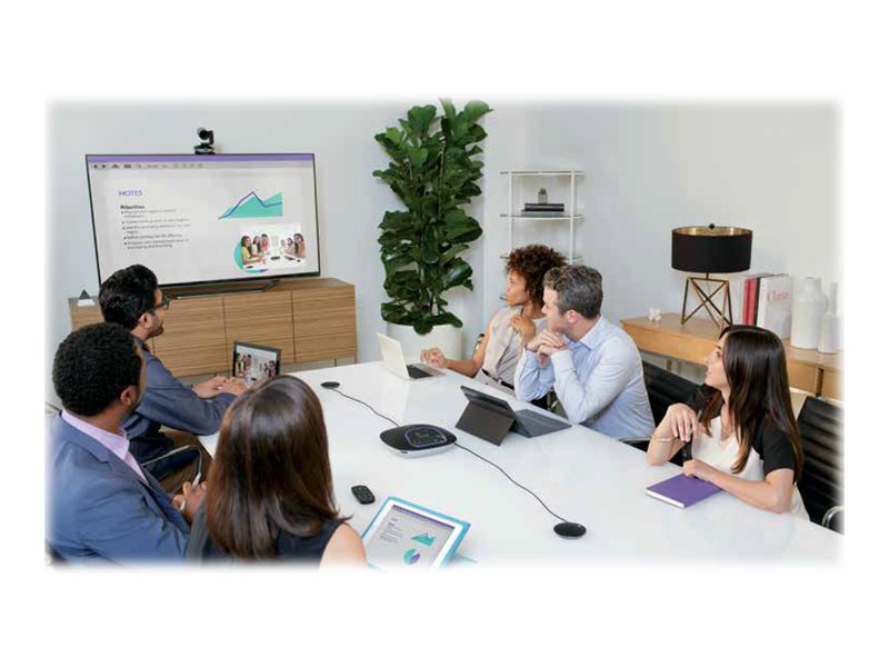 LOGITECH GROUP Expansion Microphones Only Microphone set