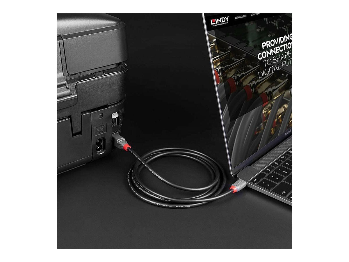 LINDY 3m USB 2.0 Type C an B Cable Anthra Line