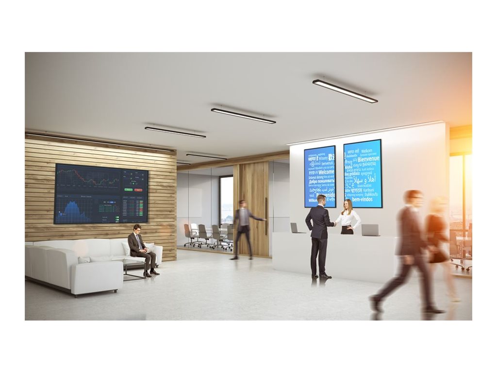 Optoma N3551K Display