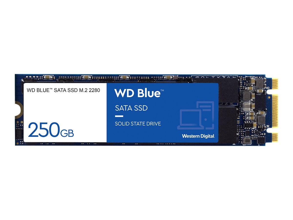 WD 3D NAND SSD 250GB M.2 2280 SATA III 6Gb/s Bulk