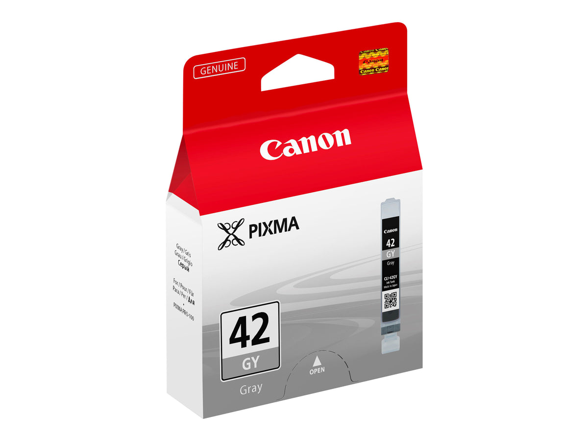 Ink/CLI-42 Cartridge Photo GY
