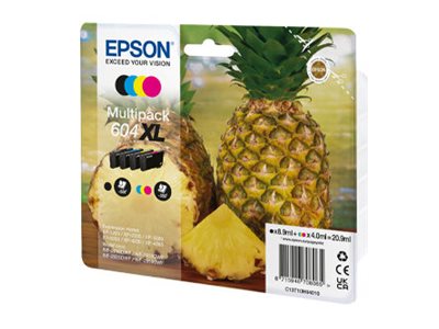 EPSON 1LB Singlepack Yellow 604XL Ink w/s