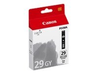 Ink/PGI-29 Cartridge GY