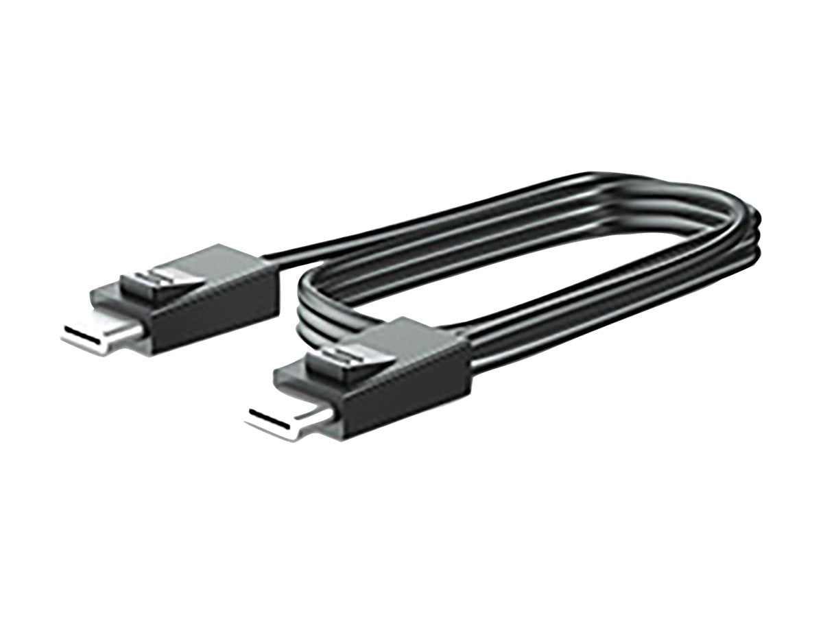 HP 300cm DP+Y CABLE L701xt