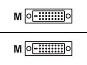 MCL Câble DVI-D mâle / DVI-D mâle dual link (24+1) - 5m    (P)