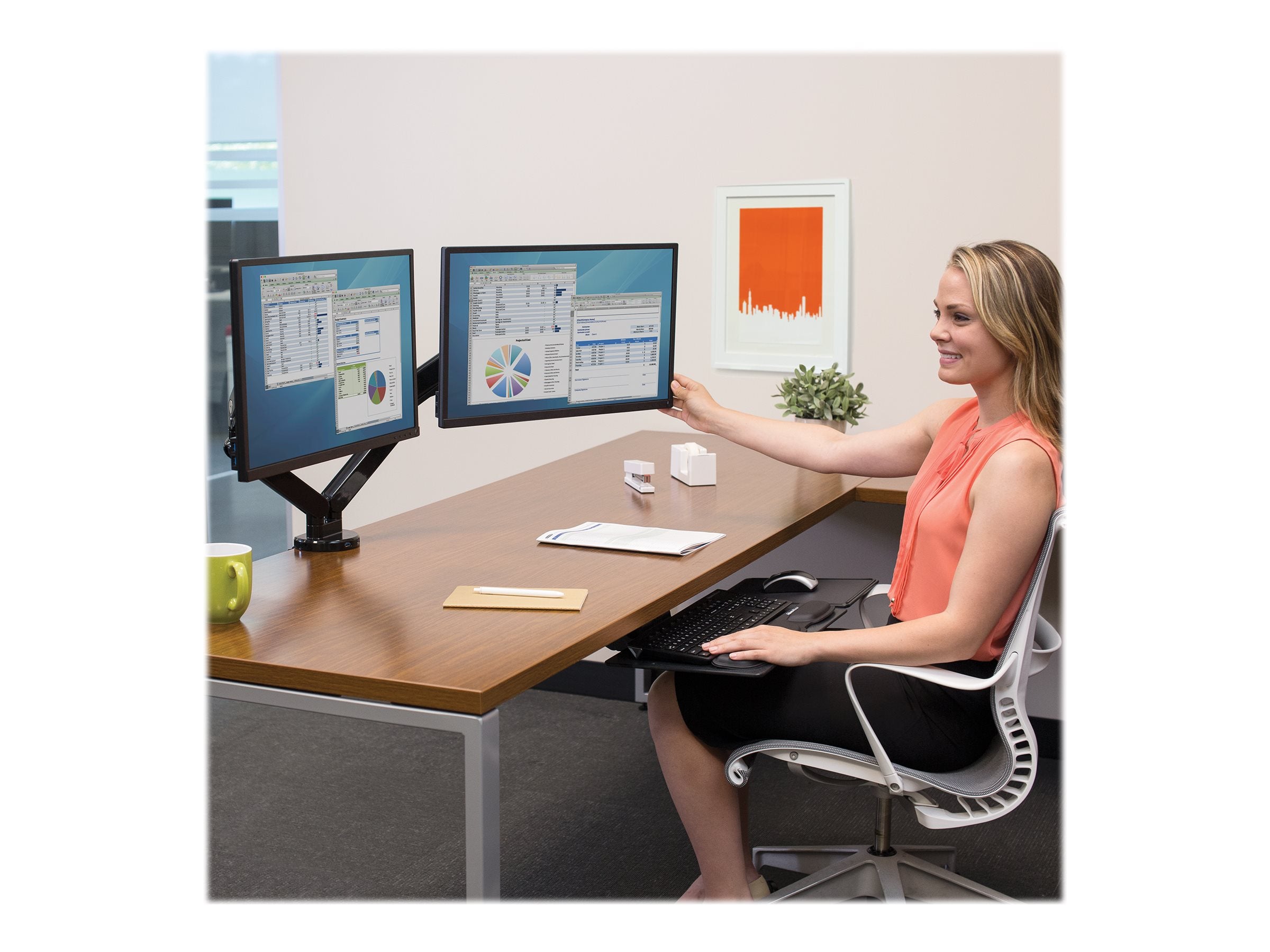 FELLOWES Bras porte écran double Platinium Série
