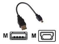 MCL - Câble adaptateur USB A femelle / mini USB B mâle 5 broches - 20cm
