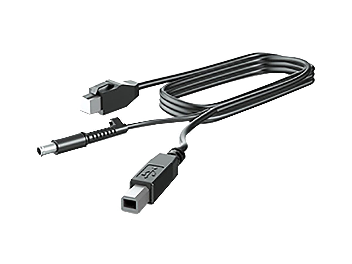 HP 300cm DP+Y CABLE L701xt