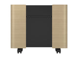 EPSON Mobile A/V Cabinet ELPCS01