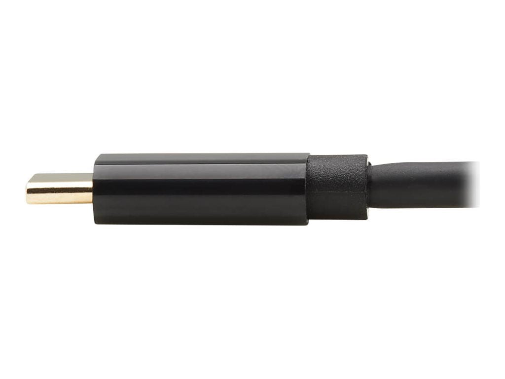 EATON TRIPPLITE USB-C to DisplayPort Bi-Directional Active Adapter Cable M/M 4K 60 HDR Locking DP Connector 6ft. 1.8m