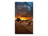 SAMSUNG 46" 16:9 FullHD VM46B-U direct-LED IPS 500nits DP 1.2, HDMI in x2/out, DVI-D, Ethernet, 3.5mm bezel to bezel VESA 600x400