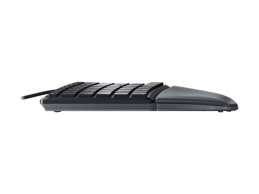 CHERRY KC 4500 ERGO Wired Keyboard (CH)