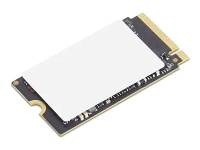LENOVO ThinkPad 256Go M.2 PCIe Gen4x4 OPAL 2242 internal SSD Gen 2