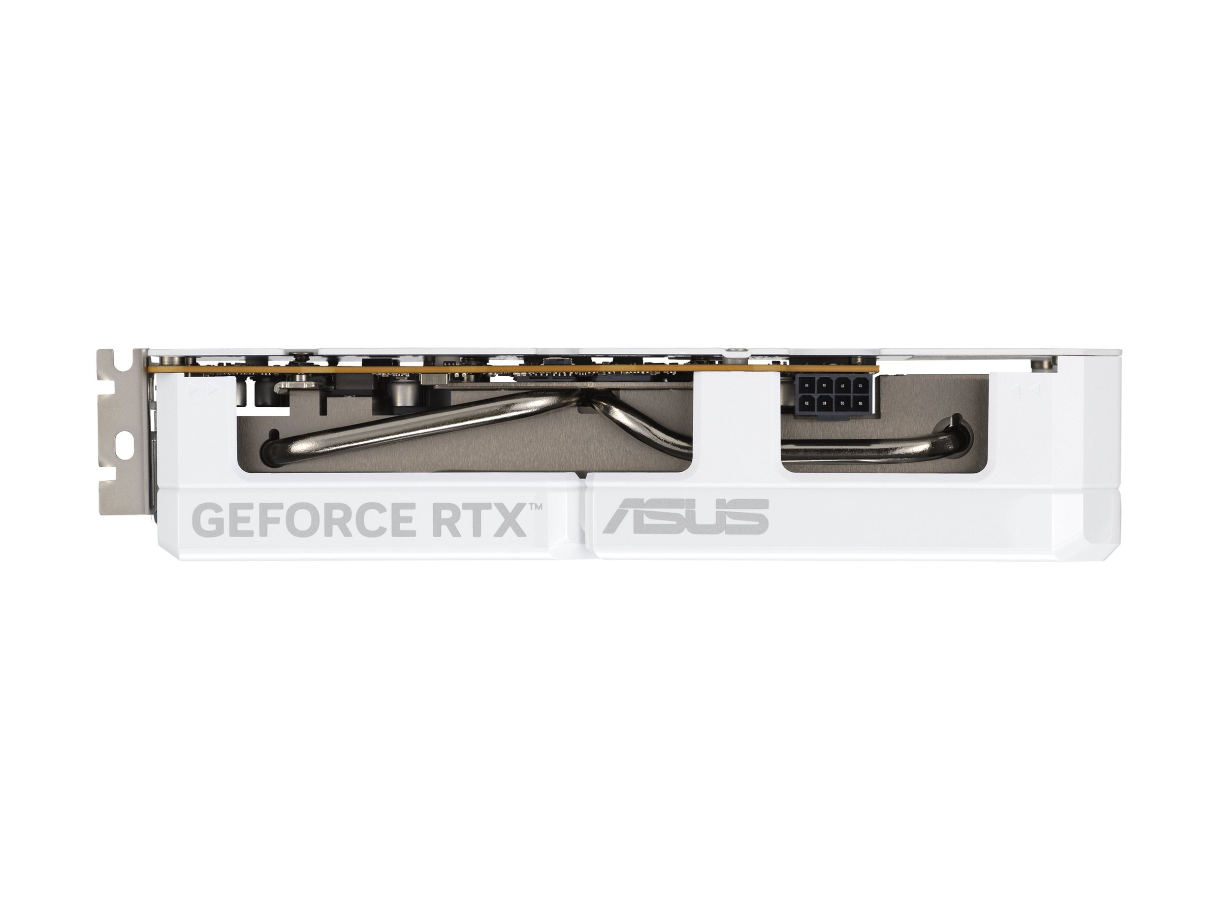 ASUS DUAL RTX 5060 OC 8Go GDDR7 3xDP 1xHDMI WHITE