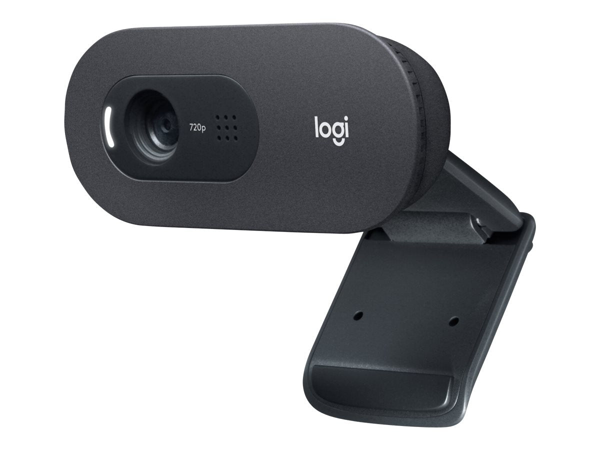 Logitech C505e webcam 1280 x 720 pixels USB Graphite