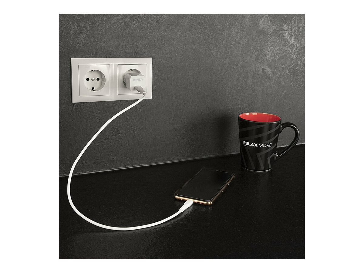 LINDY 20W Type C PD Charger EU Plug
