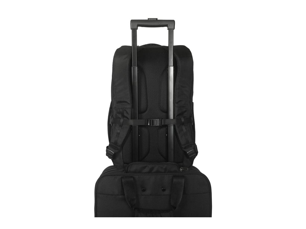 TARGUS Work+ 15-16p Backpack Black