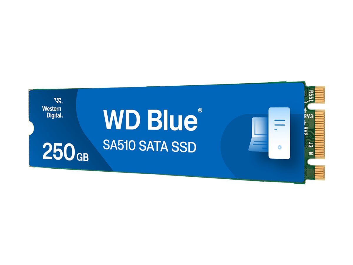 WD Blue SA510 SSD 250Go M.2 2280 SATA III 6Gb/s internal single-packed POWERED BY SANDISK