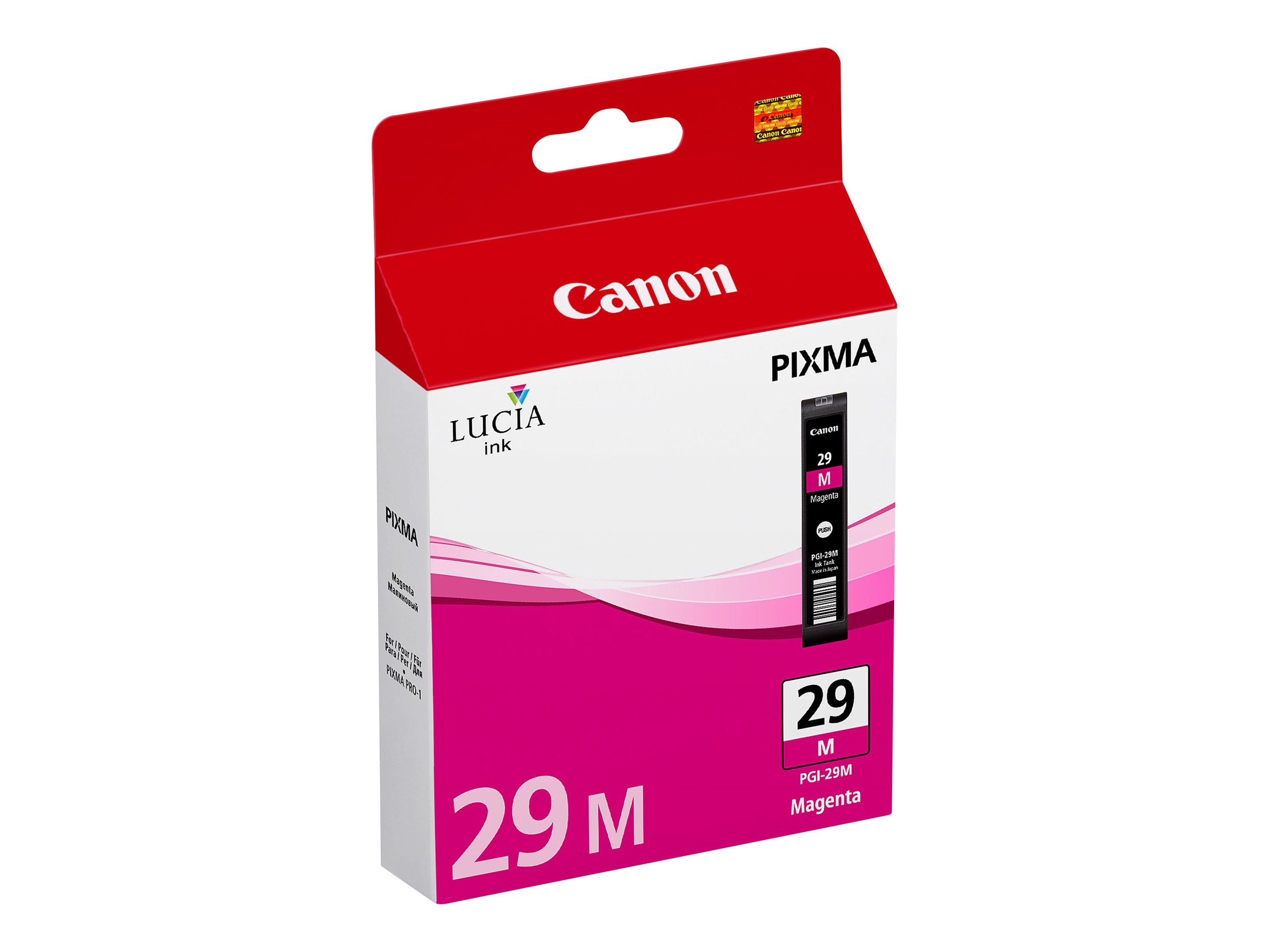 Ink/PGI-29 Cartridge MG