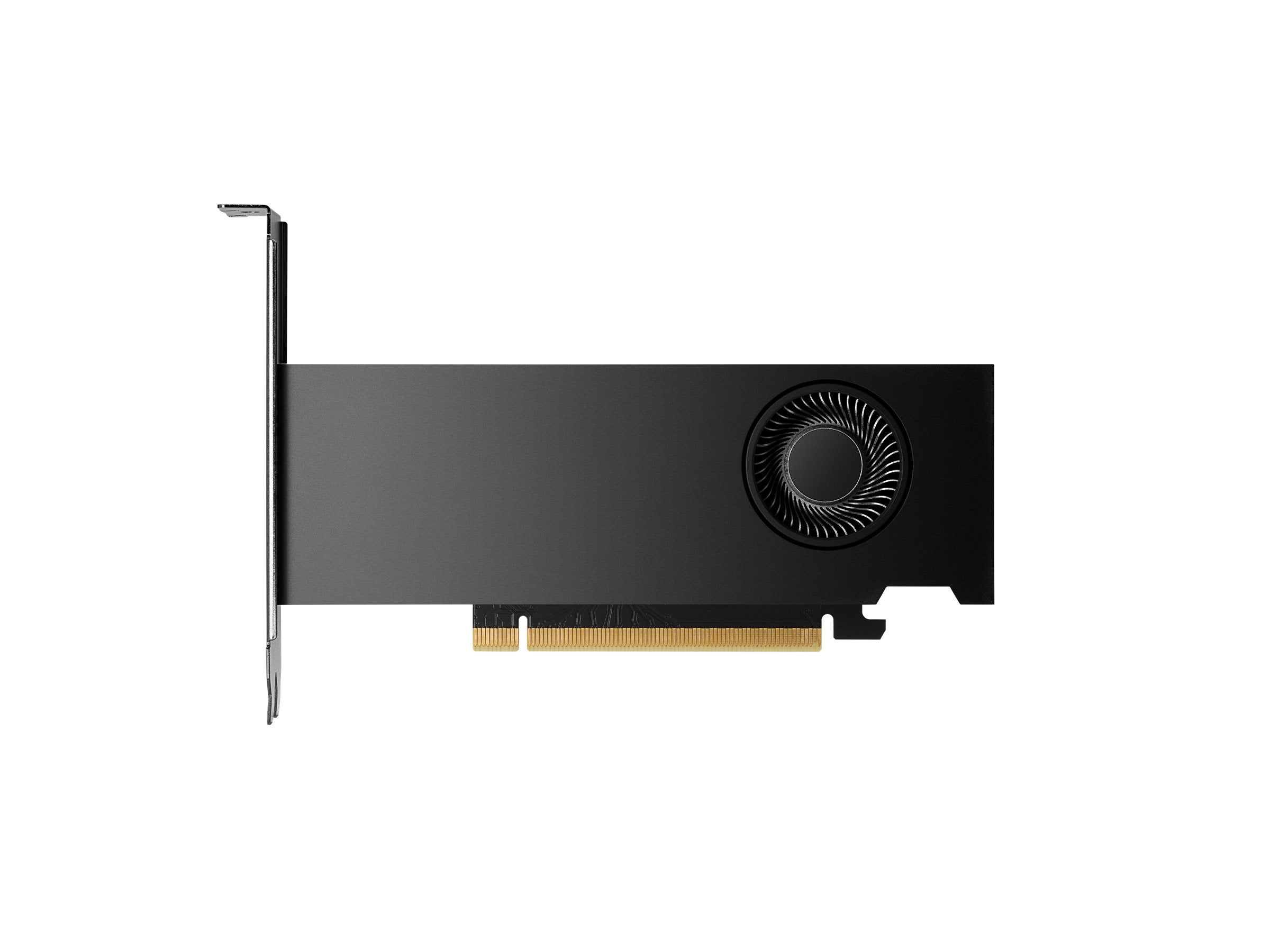 HP NVIDIA RTX 2000 Ada 16Go 4mDP Graphics