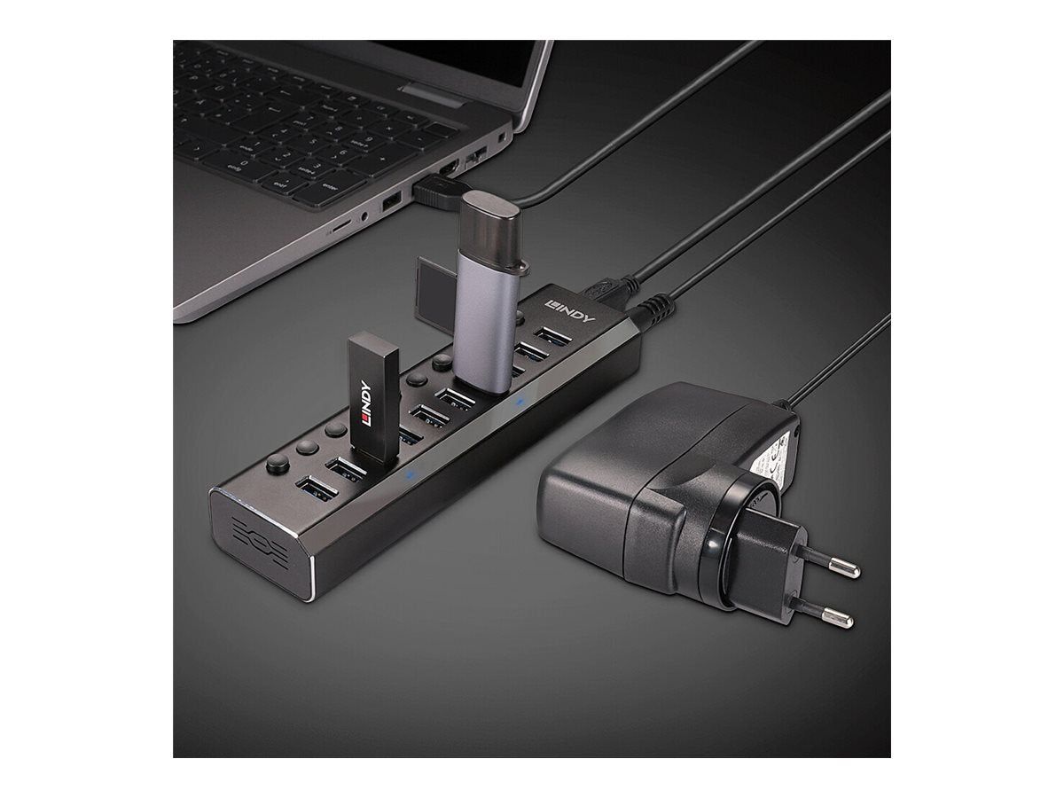 LINDY 10 Port USB 3.0 Hub with On/Off Switches