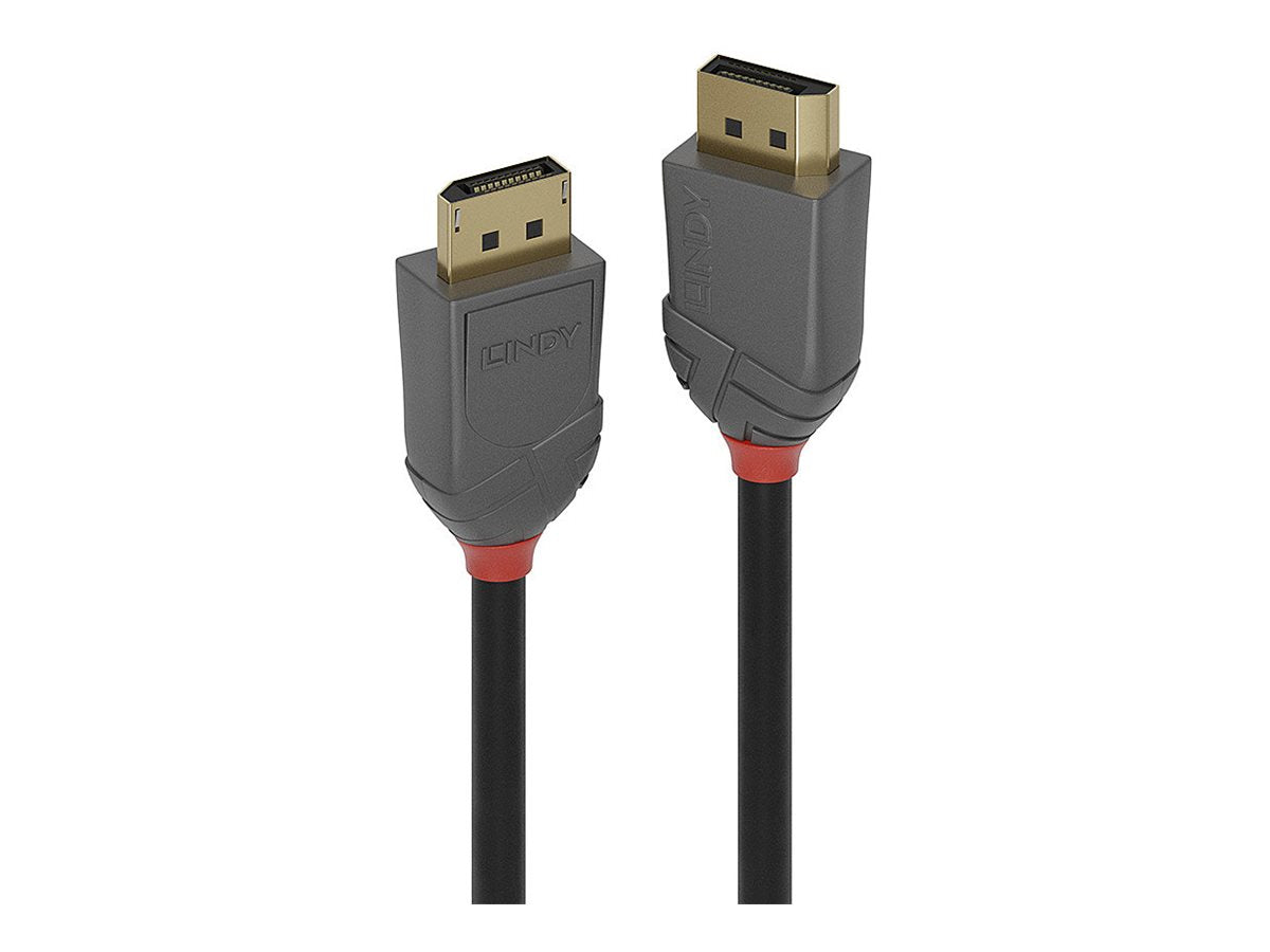 LINDY Câble DisplayPort 1.4 Anthra Line 1m