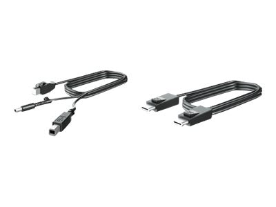 HP 300cm DP+Y CABLE L701xt