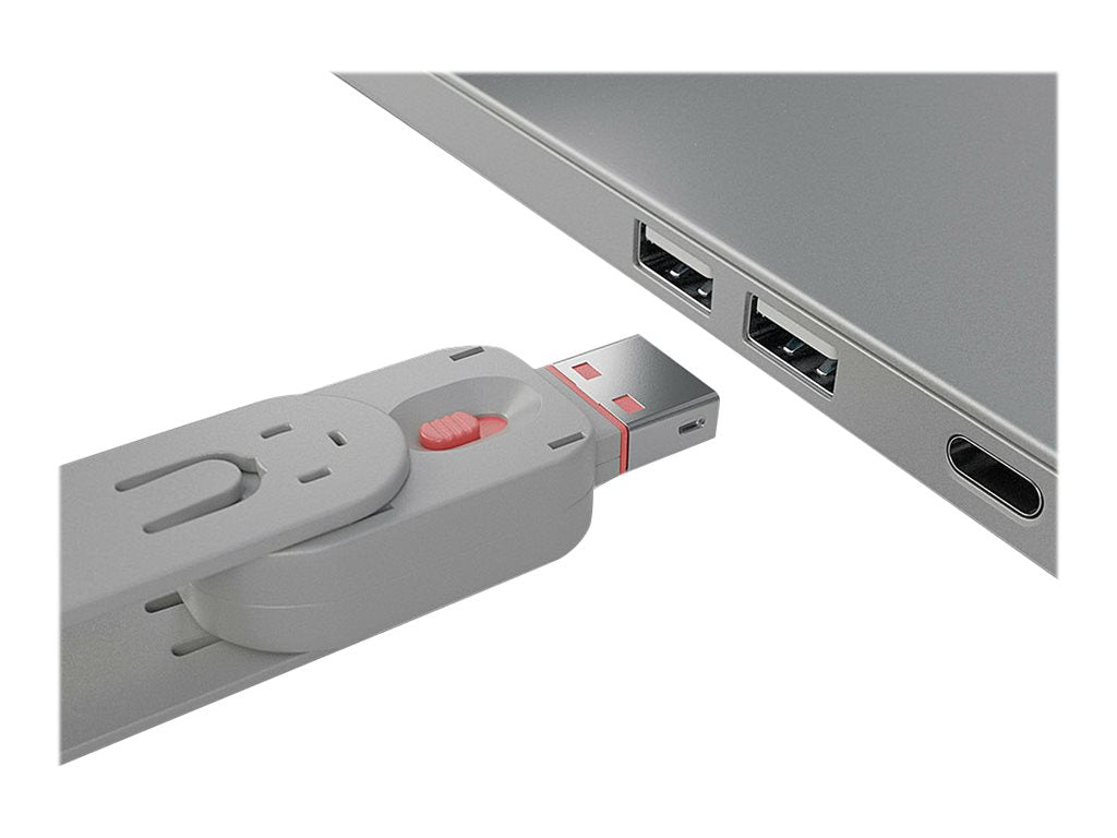 LINDY Clé USB et 4 bloqueurs de ports USB Rose