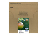 EPSON 2LB T129 Durabrite Ultra Ink EasyMail multipack